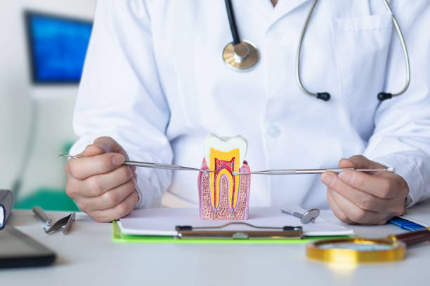 Best Emergency Dental Care for Broken or Chipped Teeth in Menasha, WI